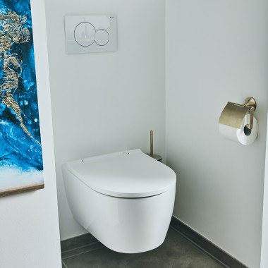 Geberit toilet